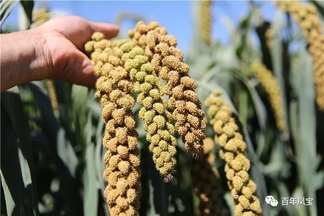 022222.jpg 022222.jpg