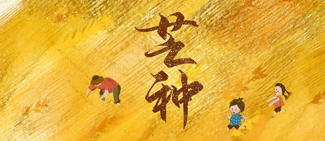 二十四节气|芒种